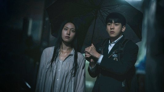 조명가게