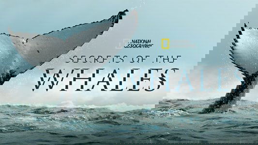 Secrets of the Whales