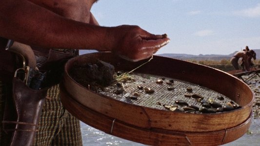 Il ritorno di Ringo