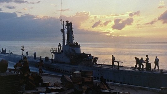 Operation Petticoat