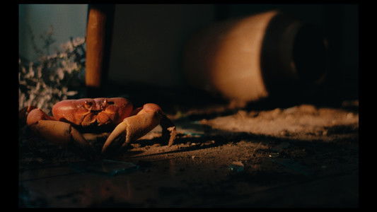 Cangrejos en el aire