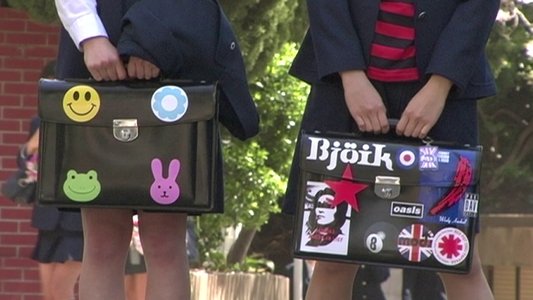 亀は意外と速く泳ぐ