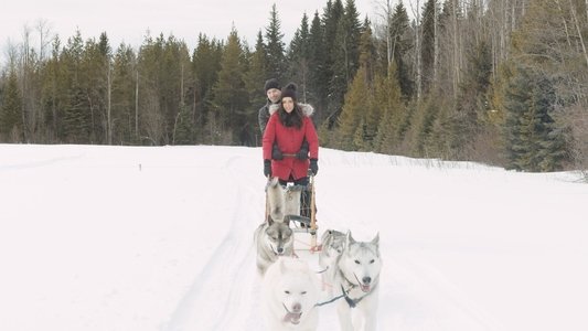 A Great North Christmas