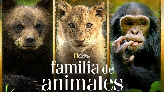 Growing Up Animal