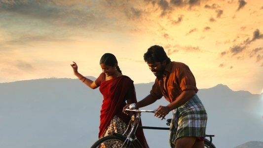 பருத்திவீரன்