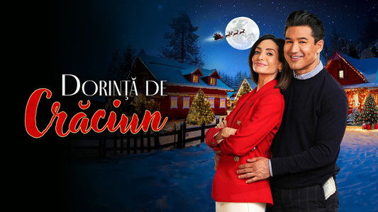 Once Upon a Christmas Wish