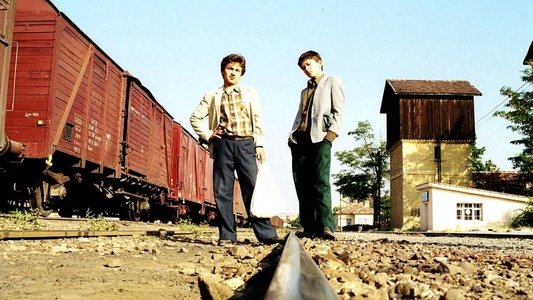 Karpuz Kabuğundan Gemiler Yapmak