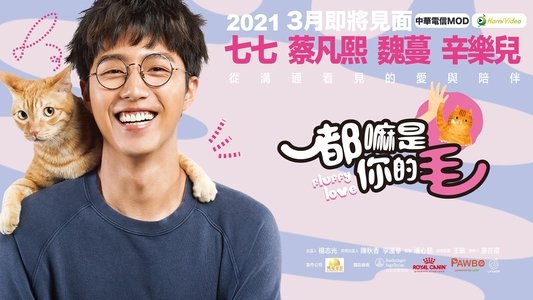 都嘛是你的毛