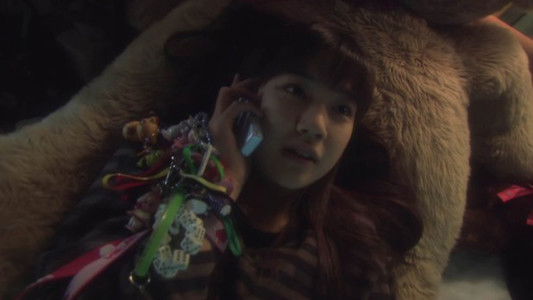 リリイ・シュシュのすべて