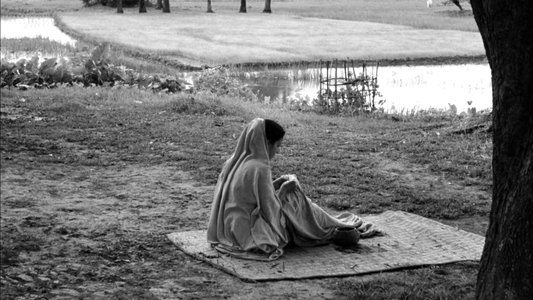 অপরাজিত