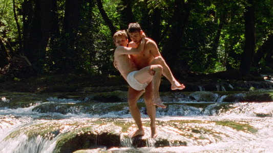 Les Roseaux sauvages