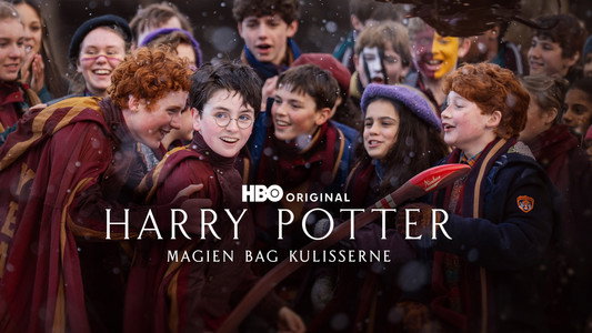 Finding Harry: The Craft Behind the Magic
