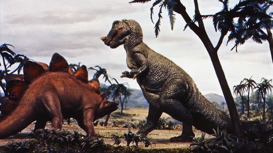 The Animal World
