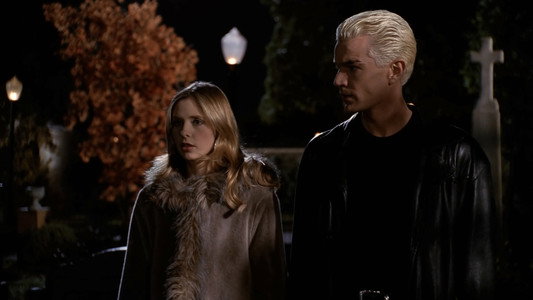 Buffy the Vampire Slayer