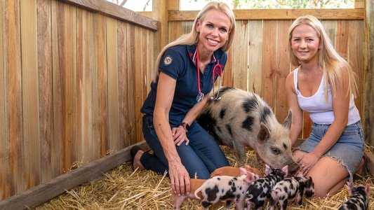 Bondi Vet: Coast to Coast