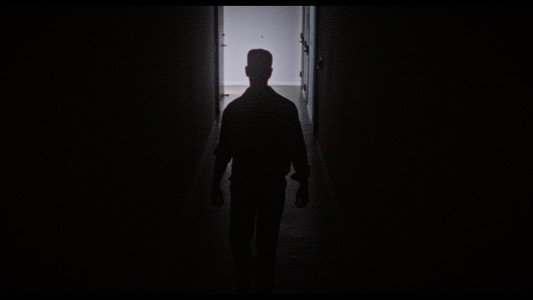 Dracula: The Night Around Us