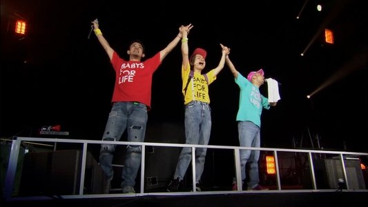 FUNKY MONKEY BABYS おまえ達との道 FINAL～in 東京ドーム～
