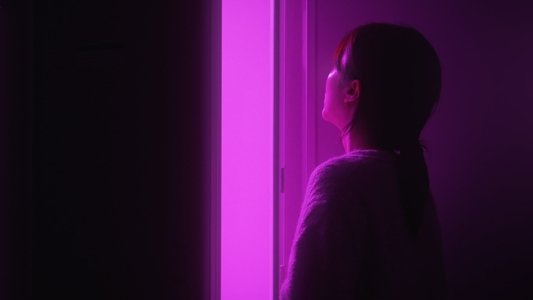 퍼플 스왈로우