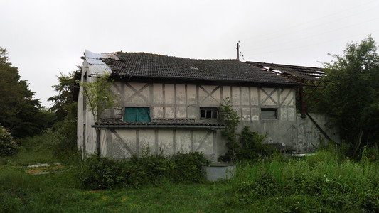 Assika : Jusqu'au sang