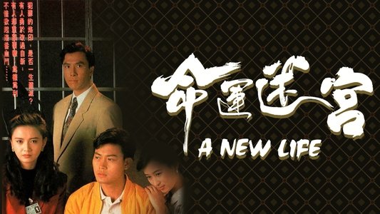 命運迷宮