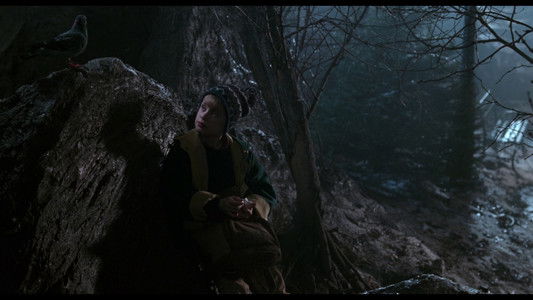 Home Alone 2: Lost in New York