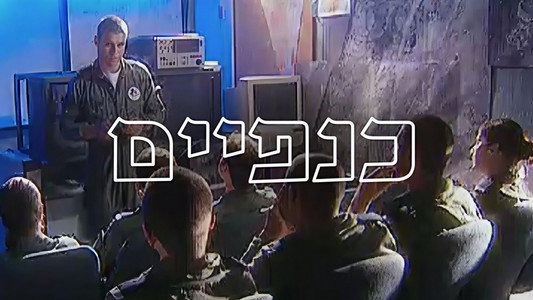 כנפיים