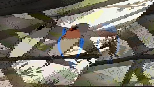 Birds