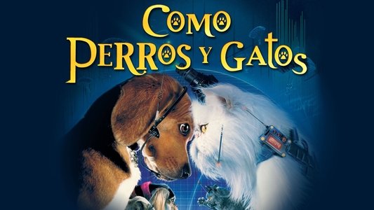 Cats & Dogs