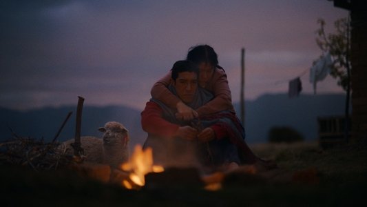 Ovejas y lobos