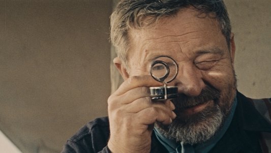 Až přijde kocour