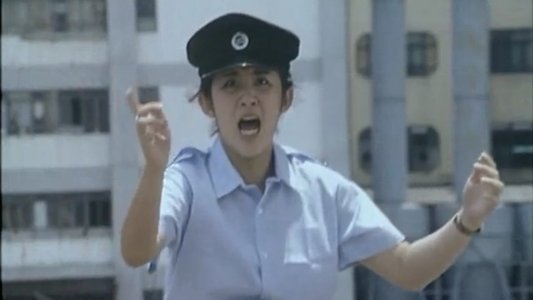 流氓差婆