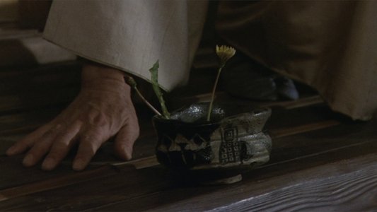 豪姫