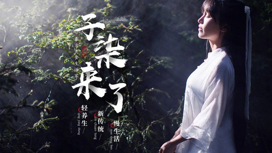 李子柒