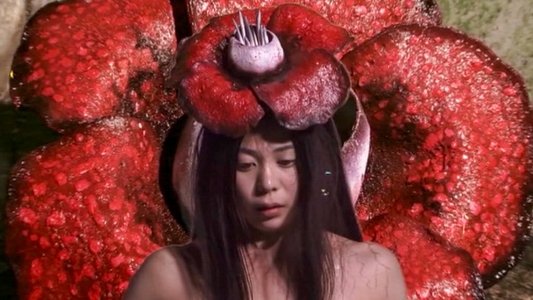 華魂