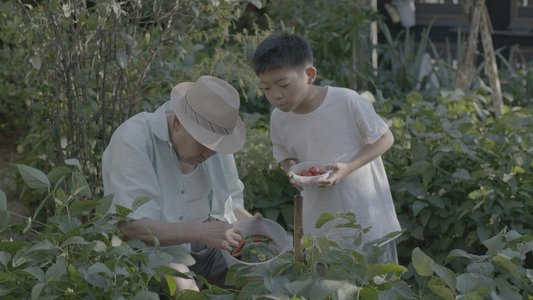 남매의 여름밤