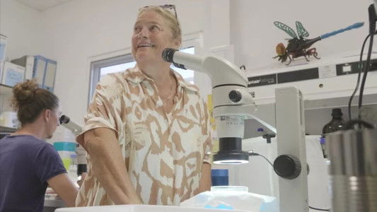 Traquer l'invisible - Nos chercheurs face à la menace mondiale des virus et des bactéries