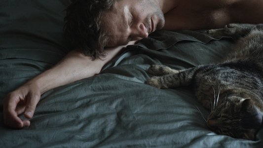 Kater