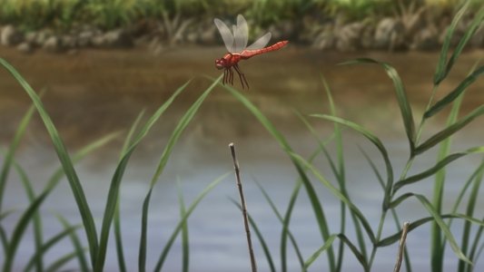 るろうに剣心 －明治剣客浪漫譚－