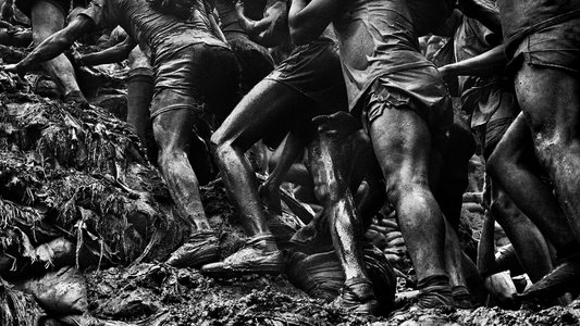 Le sel de la terre