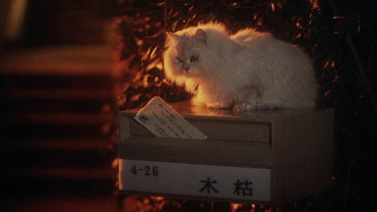 ハウス