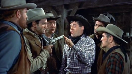 Pardners