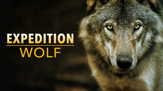 BBC Earth - Expedition Wolf