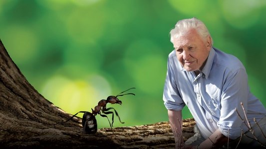 Attenborough and the Empire of the Ants