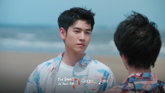 你是我目光里的星