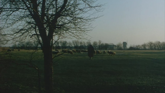 Allemagne 90 neuf zéro