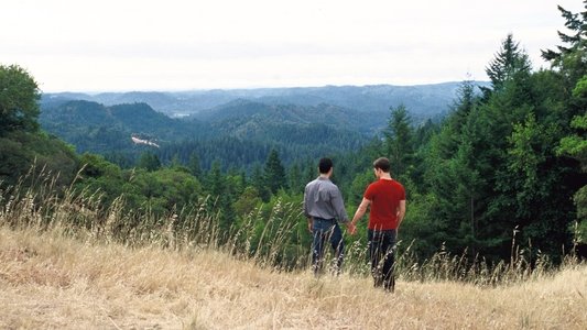 Redwoods