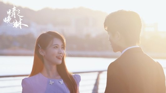 晴晚之林