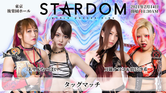 Go to BUDOKAN! STARDOM Valentine Special Day-2
