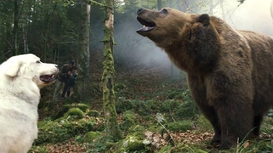 Belle et Sébastien, l'aventure continue