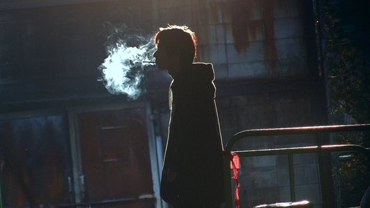 リリイ・シュシュのすべて